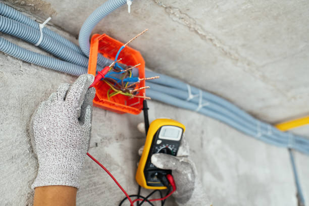 Best Electric Panel Repair  in Leakesville, MS
